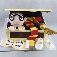 Baby Shower Cake - Harry Potter
